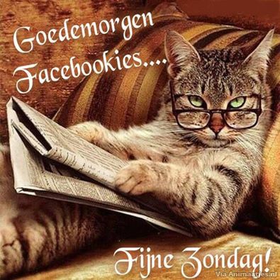 zondag Facebook plaatjes 