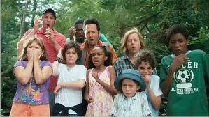 Films en series Films Grown ups 1 