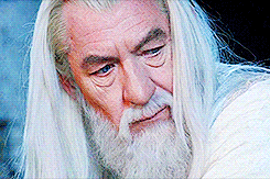 Films en series Films Lord of the rings Gandalf