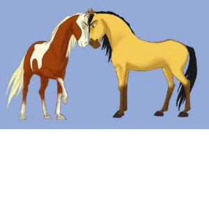 Films en series Films Spirit stallion of the cimarron 