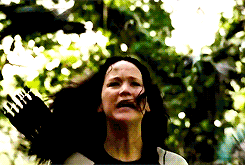 Films en series Films The hunger games catching fire Katniss The Hunger Games
