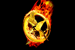 Films en series Films The hunger games catching fire 