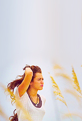 Films en series Films The last song 