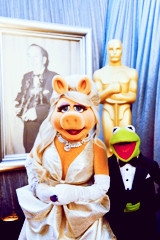 Films en series Films The muppets 