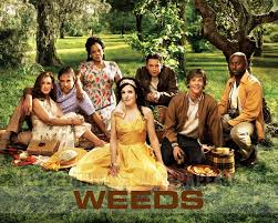 Films en series Series Weeds 