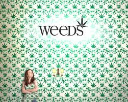 Films en series Series Weeds 