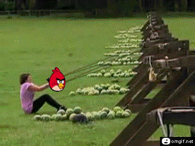 Games angry birds 