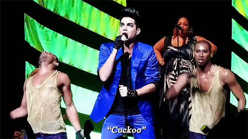 Interview Artiesten Gifs Adam lambert 2010 