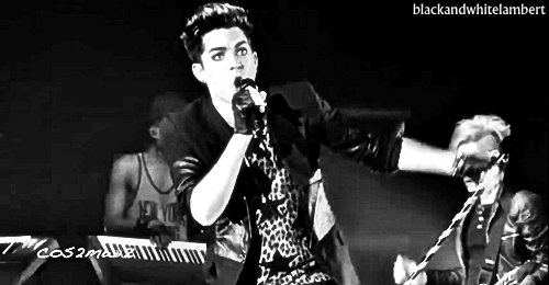 Interview Artiesten Gifs Adam lambert 2010 