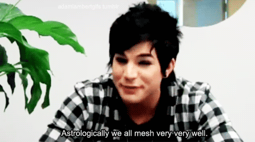 Artiesten Gifs Adam lambert 