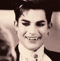 Adam Lambert GIF. Rusland Artiesten Gifs Adam lambert 2011 Maxidrom 