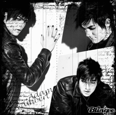 Artiesten Gifs Adam lambert 