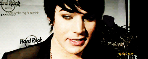 Muziek Artiesten Gifs Adam lambert 