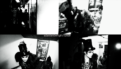 Artiesten Gifs Adam lambert 