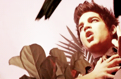 Adam Lambert GIF. Artiesten Gifs Adam lambert 