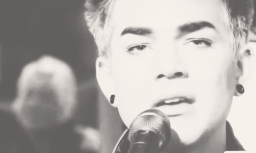Muziek Artiesten Gifs Adam lambert 