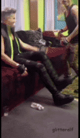 Adam Lambert GIF. Grappig Artiesten Gifs Adam lambert 