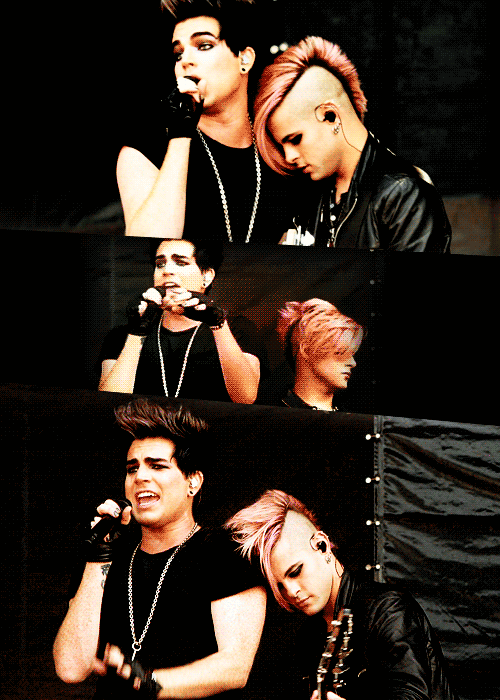 Artiesten Gifs Adam lambert 