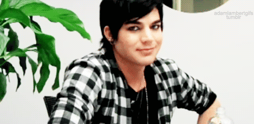 Artiesten Gifs Adam lambert 