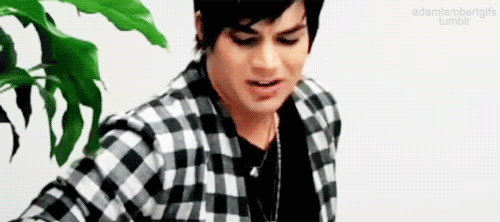 Artiesten Gifs Adam lambert 2010 DonorsChoosechat 
