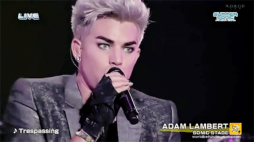 Muziek Artiesten Gifs Adam lambert 