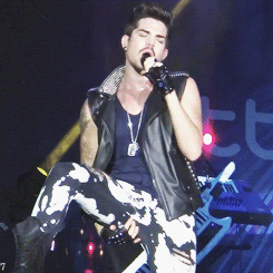 Adam Lambert GIF. Interview Artiesten Gifs Adam lambert American idol 