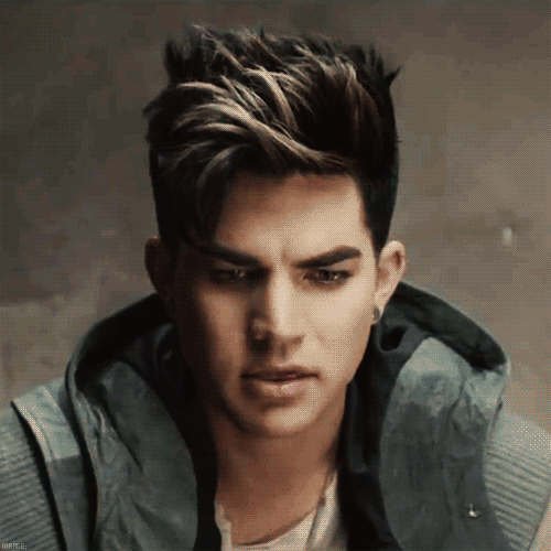 Muziek Artiesten Gifs Adam lambert 