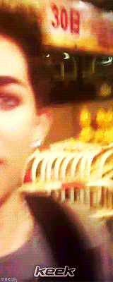 Muziek Artiesten Gifs Adam lambert 