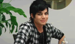 Interview Artiesten Gifs Adam lambert 2009 itunes 