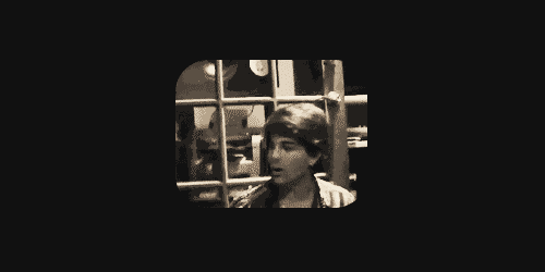 Artiesten Gifs Adam lambert 