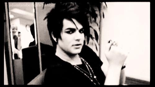 Artiesten Gifs Adam lambert fotoset 