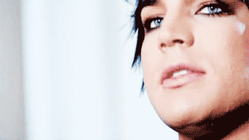 Artiesten Gifs Adam lambert gala 