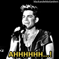 Muziek Artiesten Gifs Adam lambert 
