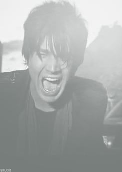Artiesten Kus Gifs Adam lambert Europa glam natie tour 