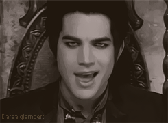 Adam Lambert GIF. Artiesten Gifs Adam lambert Petersburg Btikm 