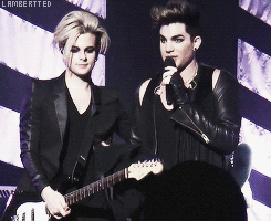 Adam Lambert GIF. Artiesten Gifs Adam lambert 2010 Fotoset Donorschoosechat 1000 