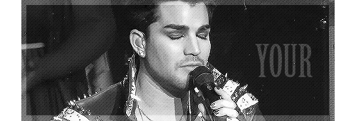 Artiesten Gifs Adam lambert 
