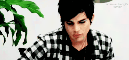 Artiesten Gifs Adam lambert 2011 maxidrom 