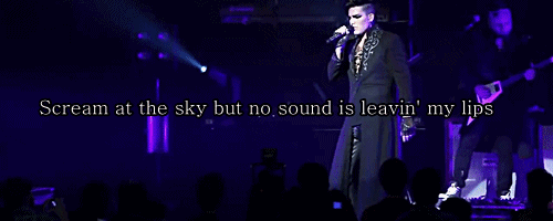 Muziek Artiesten Gifs Adam lambert 