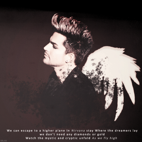 Artiesten Gifs Adam lambert 