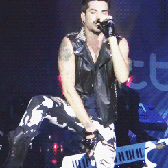 Adam Lambert GIF. Muziek Artiesten Gifs Adam lambert 