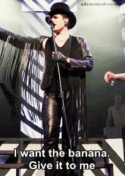 Artiesten Gifs Adam lambert 