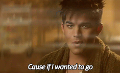 Adam Lambert GIF. Muziek Artiesten Gifs Adam lambert 
