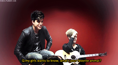 Artiesten Gifs Adam lambert 