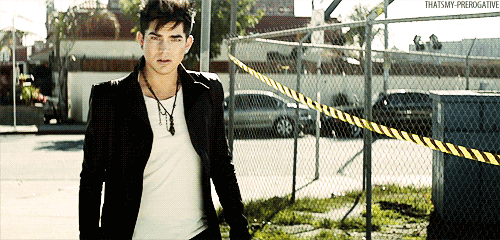 Muziek Artiesten Gifs Adam lambert 