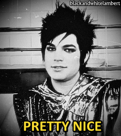 Adam Lambert GIF. Muziek Artiesten Gifs Adam lambert 