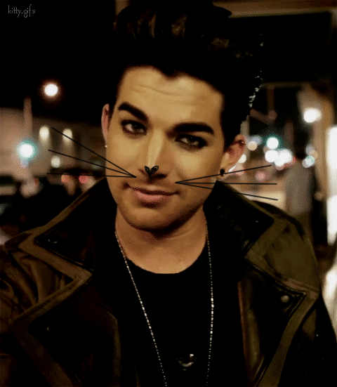 Muziek Artiesten Gifs Adam lambert 