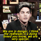 Adam Lambert GIF. Artiesten Koningin Londen Gifs Adam lambert Bohemian rhapsody 