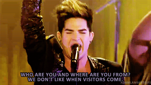 Interview Artiesten Gifs Adam lambert 2010 