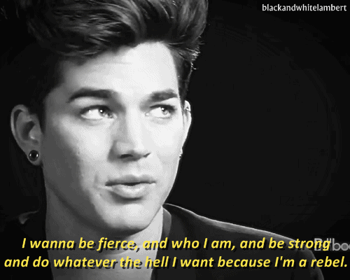 Muziek Artiesten Gifs Adam lambert 